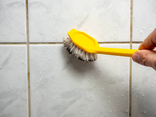  , WA Mold Removal Pros